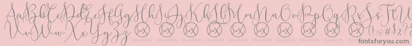 Weitere Informationen zur RottarityDemo-Schriftart RottarityDemo-Schriftart – Graue Schriften auf rosa Hintergrund