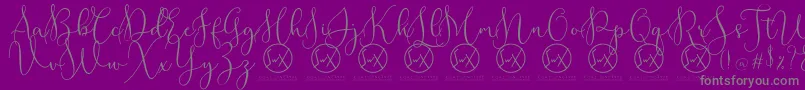 RottarityDemo-Schriftart – Graue Schriften auf violettem Hintergrund