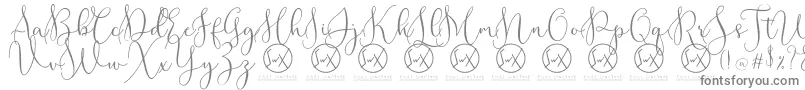 RottarityDemo-Schriftart – Graue Schriften auf weißem Hintergrund