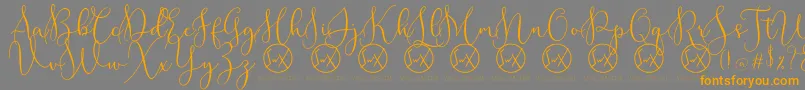 RottarityDemo Font – Orange Fonts on Gray Background