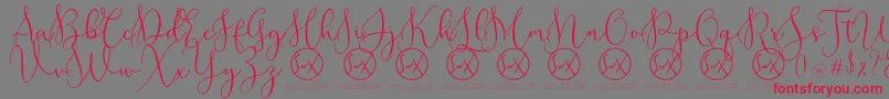 RottarityDemo Font – Red Fonts on Gray Background