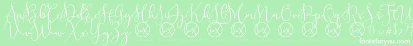 RottarityDemo Font – White Fonts on Green Background