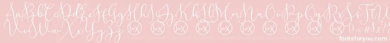 RottarityDemo Font – White Fonts on Pink Background