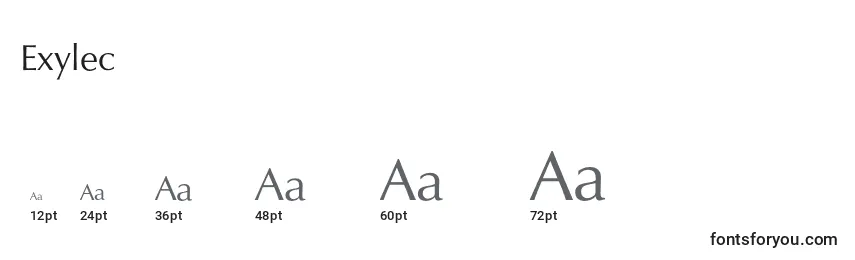 Exylec Font Sizes