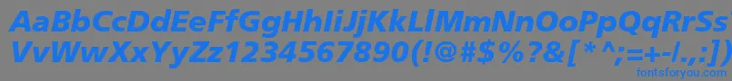 FrutigerLt76BlackItalic Font – Blue Fonts on Gray Background