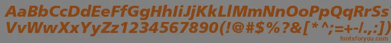 Шрифт FrutigerLt76BlackItalic – коричневые шрифты на сером фоне