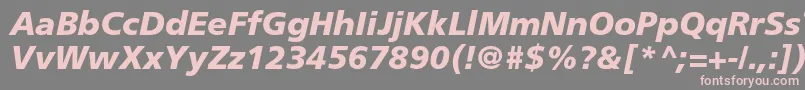 FrutigerLt76BlackItalic Font – Pink Fonts on Gray Background