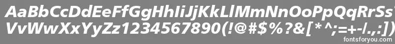 フォントFrutigerLt76BlackItalic – 灰色の背景に白い文字