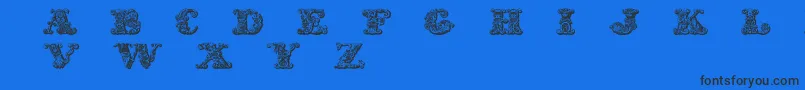 Шрифт ExoticaMedium – чёрные шрифты на синем фоне