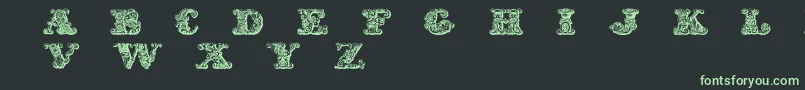 ExoticaMedium Font – Green Fonts on Black Background