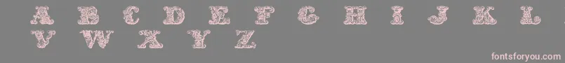 Police ExoticaMedium – polices roses sur fond gris