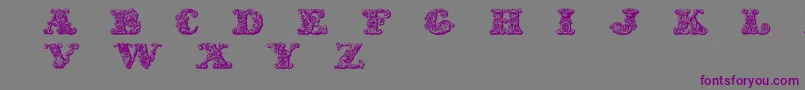 フォントExoticaMedium – 紫色のフォント、灰色の背景