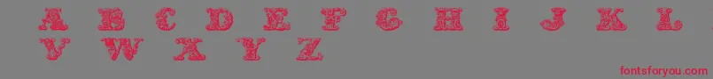 ExoticaMedium-Schriftart – Rote Schriften auf grauem Hintergrund