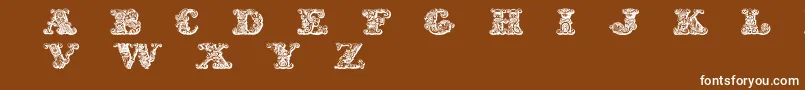 fuente ExoticaMedium – Fuentes Blancas Sobre Fondo Marrón