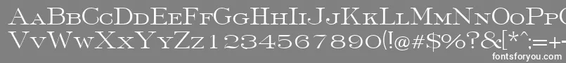 FinchleyRegularDb Font – White Fonts on Gray Background