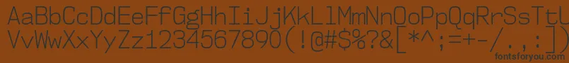 Шрифт Nk57MonospaceScLt – чёрные шрифты на коричневом фоне