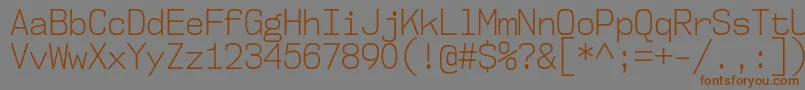 Nk57MonospaceScLt Font – Brown Fonts on Gray Background