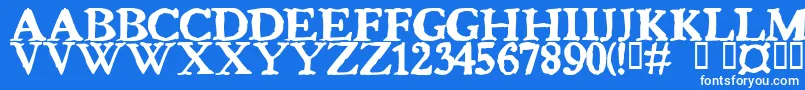 Bedbug Font – White Fonts on Blue Background