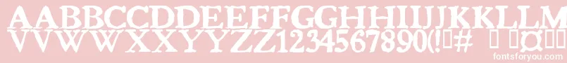 Bedbug Font – White Fonts on Pink Background