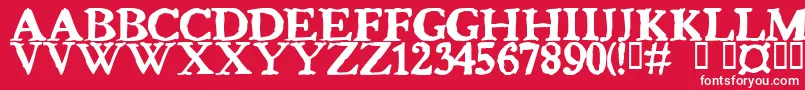 Bedbug Font – White Fonts on Red Background