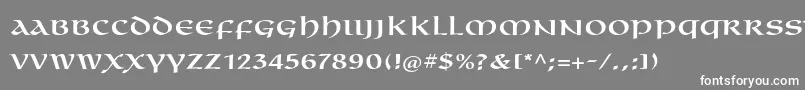 フォントOmnialtstd – 灰色の背景に白い文字