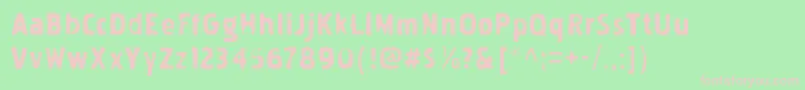 PakenhaminkRegular Font – Pink Fonts on Green Background