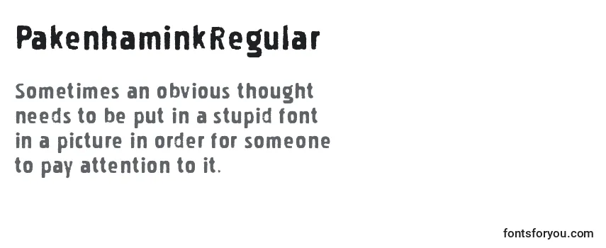 Review of the PakenhaminkRegular Font