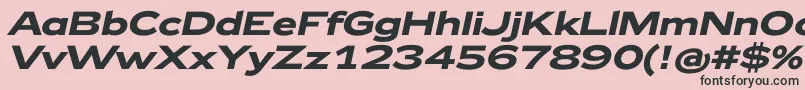 Zeppelin42BoldItalic Font – Black Fonts on Pink Background