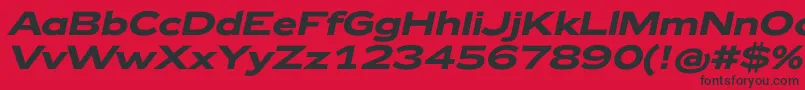 Zeppelin42BoldItalic Font – Black Fonts on Red Background