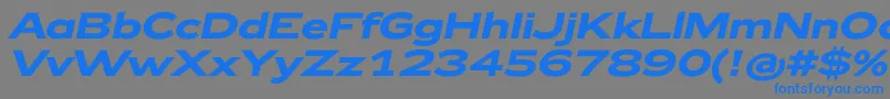Zeppelin42BoldItalic-fontti – siniset fontit harmaalla taustalla