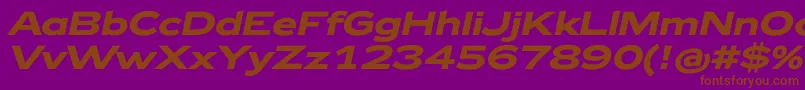 Zeppelin42BoldItalic Font – Brown Fonts on Purple Background