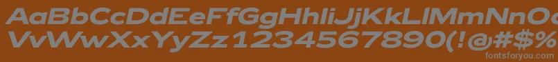 Zeppelin42BoldItalic-fontti – harmaat kirjasimet ruskealla taustalla