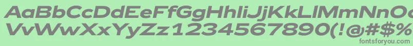 Zeppelin42BoldItalic Font – Gray Fonts on Green Background