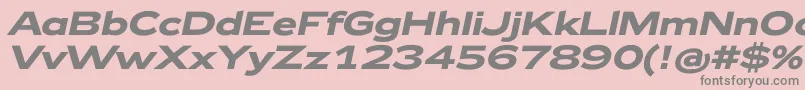 フォントZeppelin42BoldItalic – ピンクの背景に灰色の文字