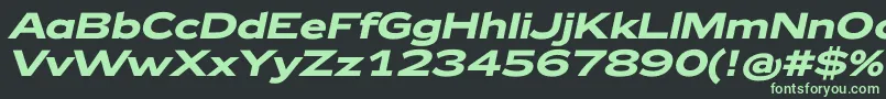 Zeppelin42BoldItalic Font – Green Fonts on Black Background