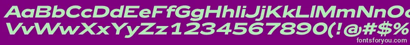 Zeppelin42BoldItalic Font – Green Fonts on Purple Background