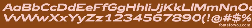 Czcionka Zeppelin42BoldItalic – różowe czcionki na brązowym tle