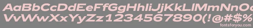Zeppelin42BoldItalic-Schriftart – Rosa Schriften auf grauem Hintergrund