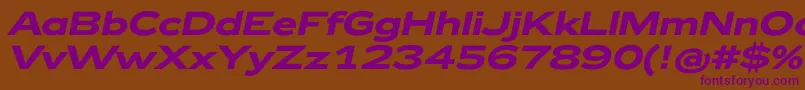 Zeppelin42BoldItalic Font – Purple Fonts on Brown Background