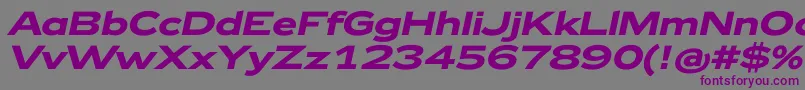Zeppelin42BoldItalic Font – Purple Fonts on Gray Background