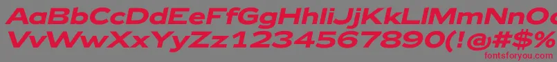 Zeppelin42BoldItalic Font – Red Fonts on Gray Background