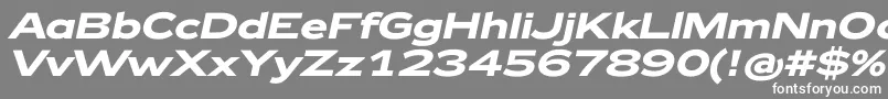 Zeppelin42BoldItalic Font – White Fonts on Gray Background