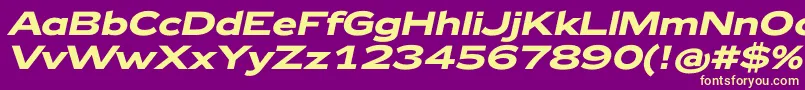 Zeppelin42BoldItalic-Schriftart – Gelbe Schriften auf violettem Hintergrund