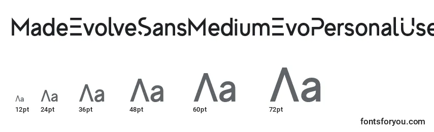 MadeEvolveSansMediumEvoPersonalUse Font Sizes