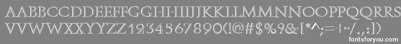 フォントOpenfaceRegular – 灰色の背景に白い文字
