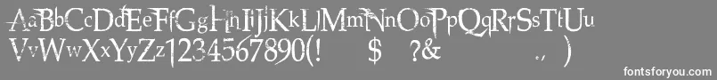 NorthwoodHigh Font – White Fonts on Gray Background