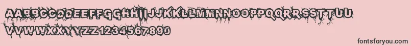 Infected Font – Black Fonts on Pink Background