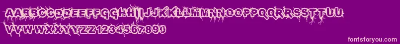 Infected Font – Pink Fonts on Purple Background