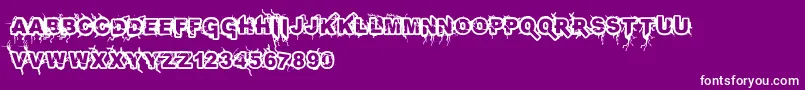Infected Font – White Fonts on Purple Background