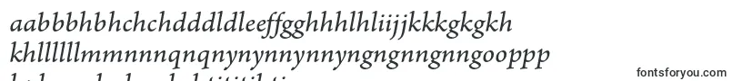 ArnoproItalicsmtext-Schriftart – sesotho Schriften